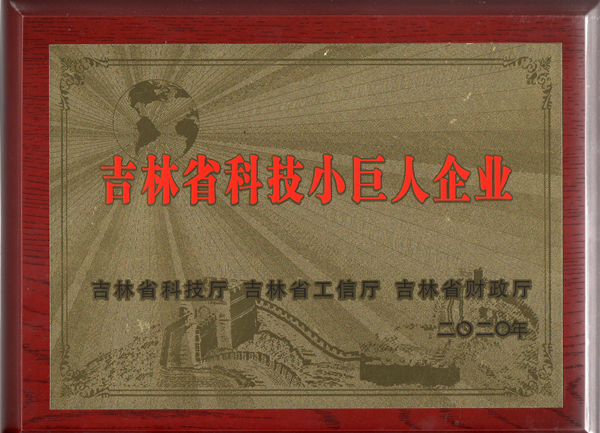 0TG反波胆物业获“吉林省科技小巨人企业”称呼_副本.jpg