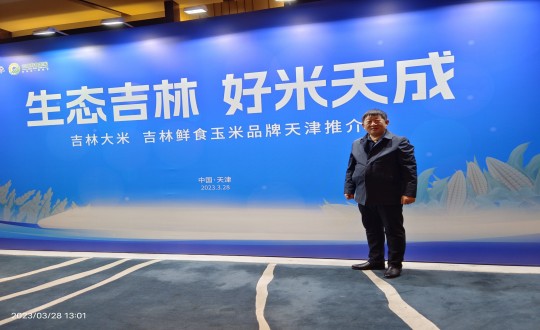 22.柳河TG反波胆农也总司理侯正发加入吉津粮食产销相助洽谈会_副本.jpg
